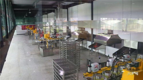 訪茶源,探好茶 正皓茶 云南茶山研學(xué)之旅圓滿成功