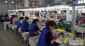 高質(zhì)量推動(dòng)快發(fā)展 邵陽(yáng)洞口經(jīng)濟(jì)開發(fā)區(qū)實(shí)現(xiàn)高效推進(jìn)