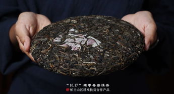2019年福元昌牽手號扶貧茶帕當(dāng)山區(qū)生茶357克價(jià)格與購買指南